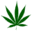 hanfsamenladen.com icon