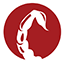 hannoverscorpions.de icon
