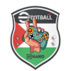 hanopatch4u.com icon