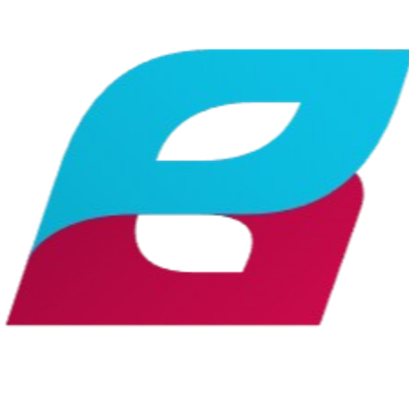 hansanzhen.com icon