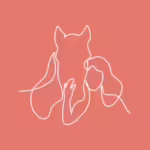 happyhorsehappylife.com icon