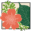 hardyplantsociety.org icon