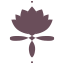 haseensofficial.com icon