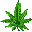 hashnix.club icon