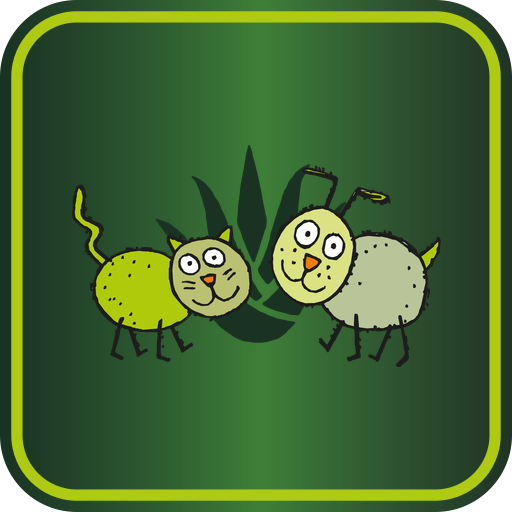 hau-miau.pl icon