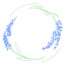 hausarztpraxisbogenhaase.de icon