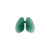 Hausly logo