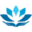 havendetoxnow.com icon