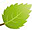 hawaiiwebdesignstudio.com icon