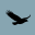 hawkinfinity.com icon