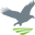 hawkmeadowmontessori.com icon