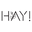 hayclothing.in icon