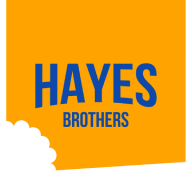 hayesbrothers.nl icon