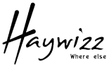 haywizz.com icon