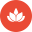 health-samurai.io icon