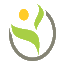 health7x24.com icon