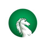 healthfellows.ng icon