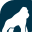 Health Gorilla