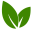healthyandnaturalworld.com icon