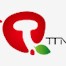 healthyfoods-tjttn.com icon
