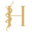 hedonistchocolates.com icon