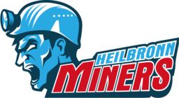 heilbronn-miners.de icon