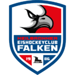 heilbronner-falken.de icon