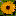 heilkraeuter.net icon