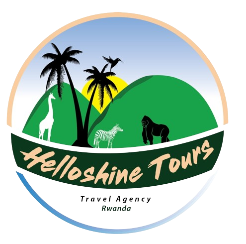 helloshinetours.com icon