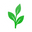 hellotruenutra.com icon