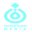 help-ws.com icon