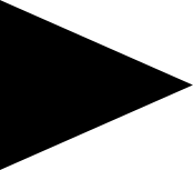 helvetiarockt.ch icon