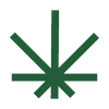 hempika.com icon