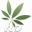hemppaste.com icon