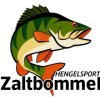 hengelsportzaltbommel.nl icon