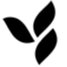 herbalifeproductbrochure.com icon