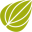 herbalremediesadvice.org icon