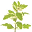 herbyessentialoils.com icon