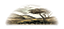 heritage-eastafrica.com icon
