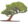 Heritage Oaks Golf Club logo