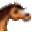 hetpaardenspel.nl icon