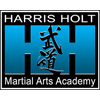 hhmartialarts.com icon