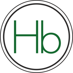 highbuy.fr icon