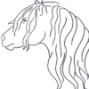 highlandponysociety.com icon