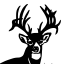 highpointranchtx.com icon