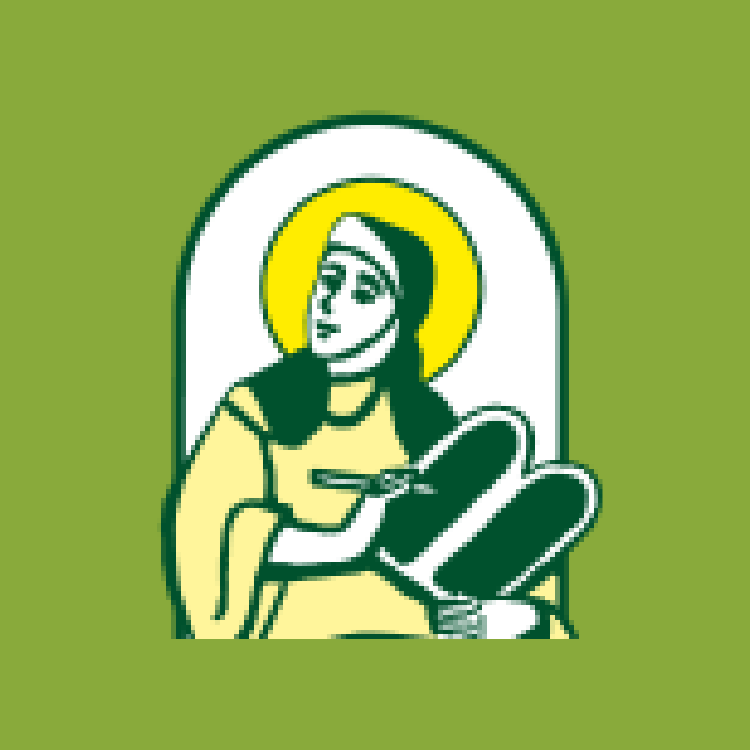 hildegardvonbingen.at icon