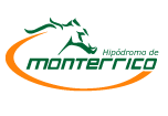 hipodromodemonterrico.com.pe icon