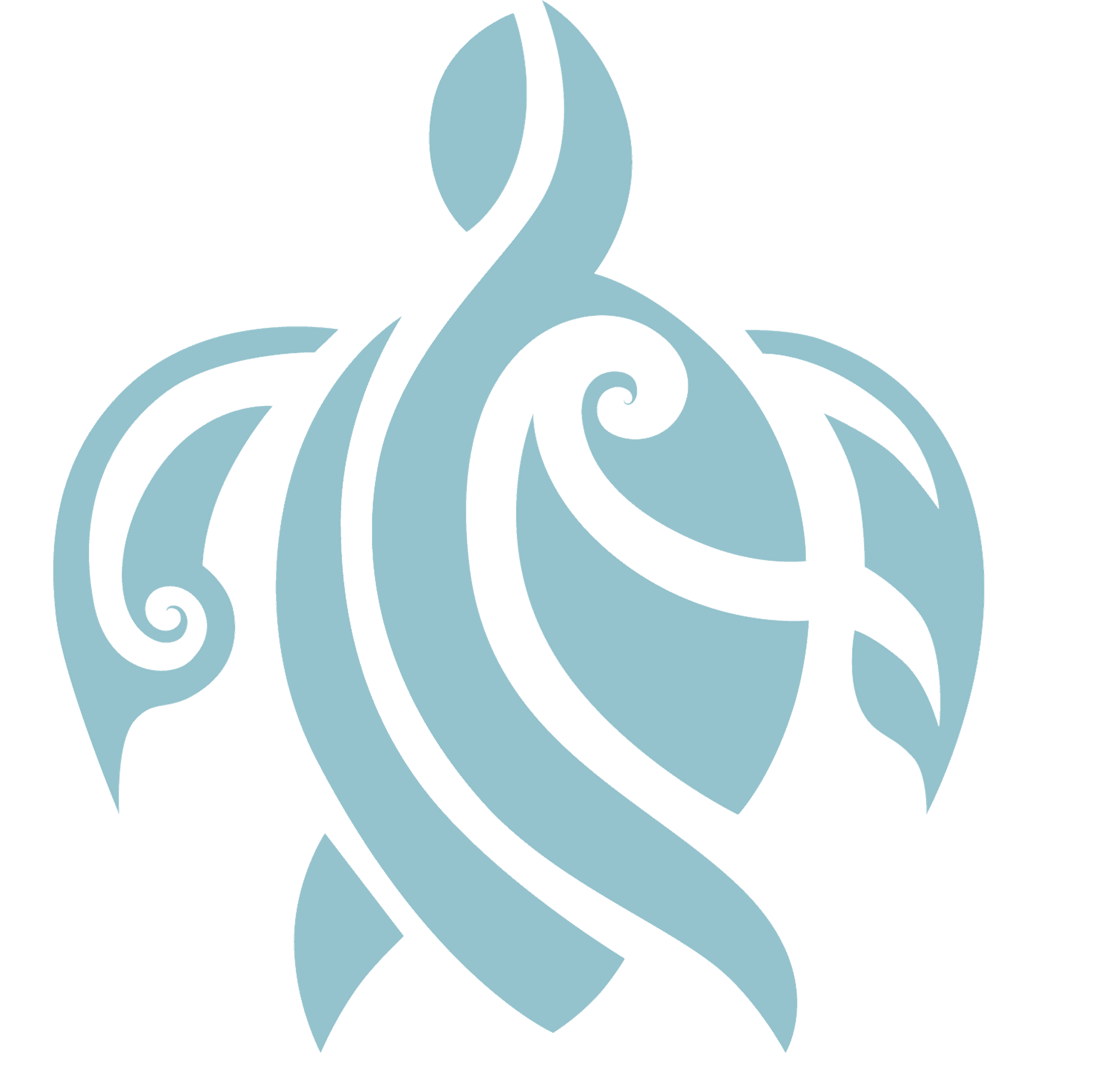 hippiements-village.com icon