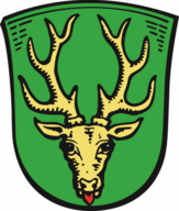 hirzenhain.de icon