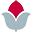 hjart-lung.se icon